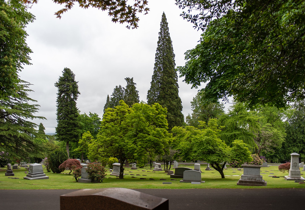 Selected Image